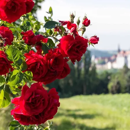 Apartmán Gaestehaus Bechtloff