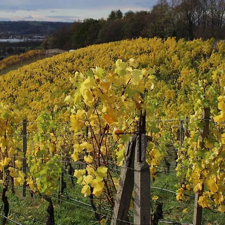 Apartmán Gaestehaus Bechtloff